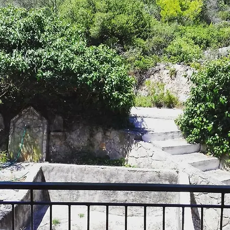 Apelati بيت ريفي كيري