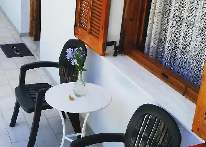 Apelati Zajazd *